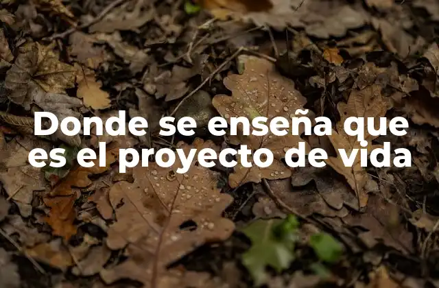 Donde Se Enseña que es el Proyecto de Vida