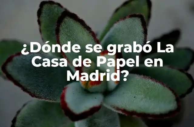 ¿dónde Se Grabó la Casa de Papel en Madrid?