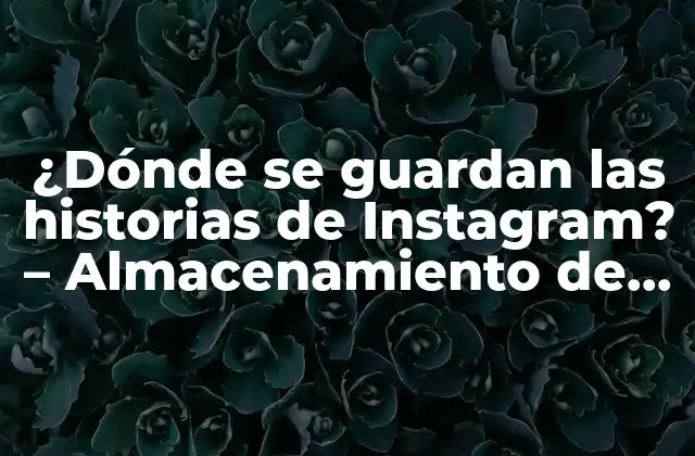 ¿dónde Se Guardan las Historias de Instagram? – Almacenamiento de Historias de Instagram