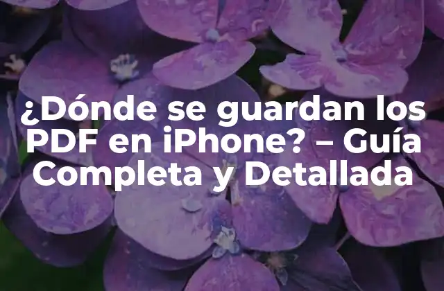 ¿dónde Se Guardan los Pdf en Iphone? – Guía Completa y Detallada