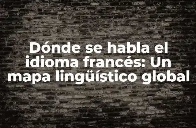 Dónde Se Habla el Idioma Francés: un Mapa Lingüístico Global