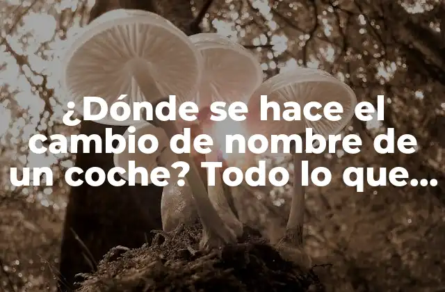 ¿dónde Se Hace el Cambio de Nombre de un Coche? Todo Lo que Necesitas Saber