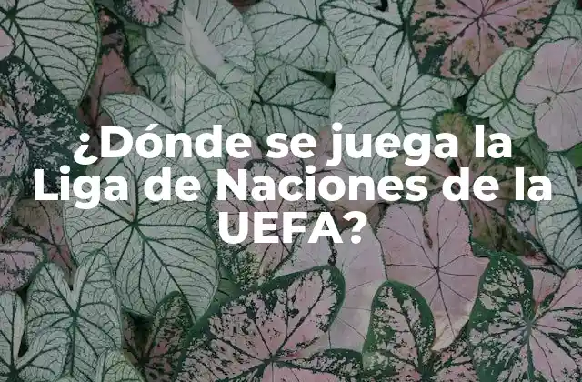 ¿dónde Se Juega la Liga de Naciones de la Uefa?