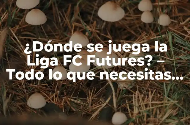 ¿dónde Se Juega la Liga Fc Futures? – Todo Lo que Necesitas Saber