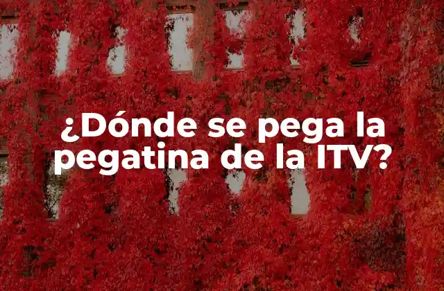 ¿dónde Se Pega la Pegatina de la Itv?
