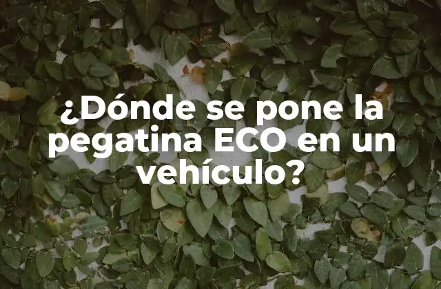 ¿dónde Se Pone la Pegatina Eco en un Vehículo?