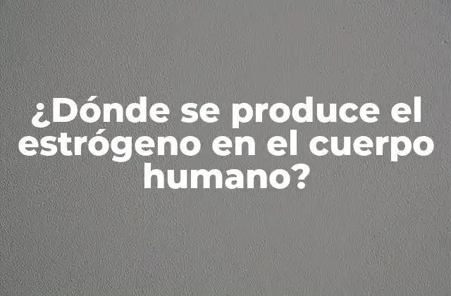 ¿dónde Se Produce el Estrógeno en el Cuerpo Humano?