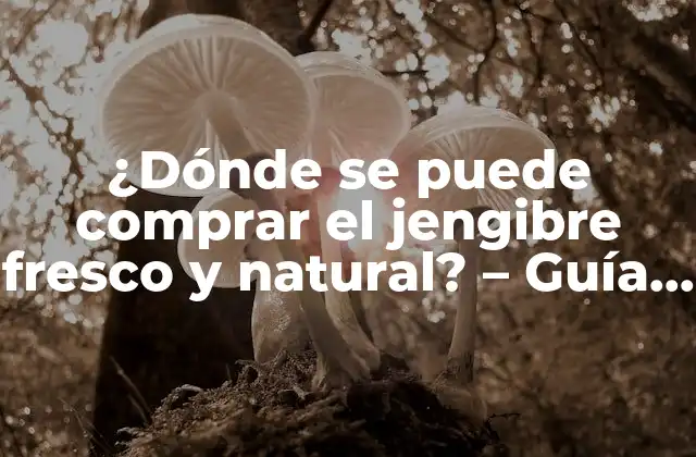 ¿dónde Se Puede Comprar el Jengibre Fresco y Natural? – Guía Completa