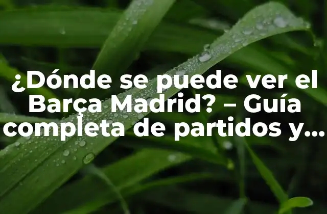 ¿dónde Se Puede Ver el Barça Madrid? – Guía Completa de Partidos y Eventos
