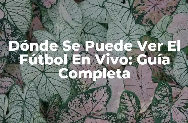 Dónde Se Puede Ver el Fútbol en Vivo: Guía Completa