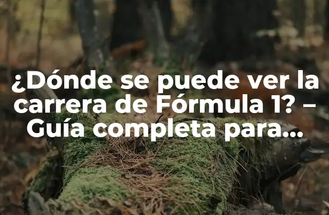 ¿dónde Se Puede Ver la Carrera de Fórmula 1? – Guía Completa para Fanáticos de la F1
