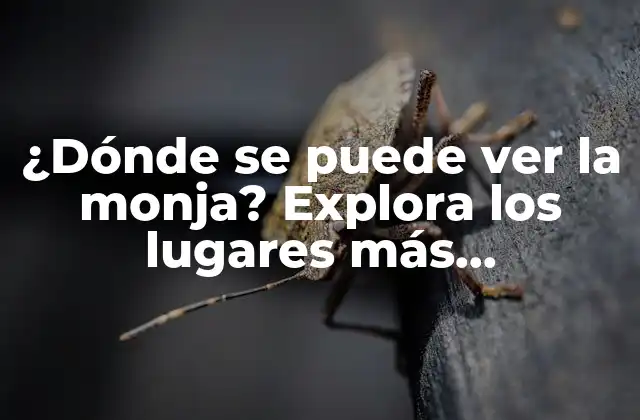 ¿dónde Se Puede Ver la Monja? Explora los Lugares Más Emblemáticos