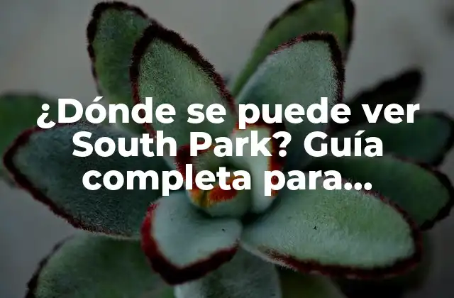 ¿dónde Se Puede Ver South Park? Guía Completa para Streaming