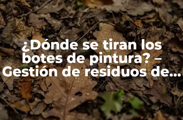 ¿dónde Se Tiran los Botes de Pintura? – Gestión de Residuos de Pintura
