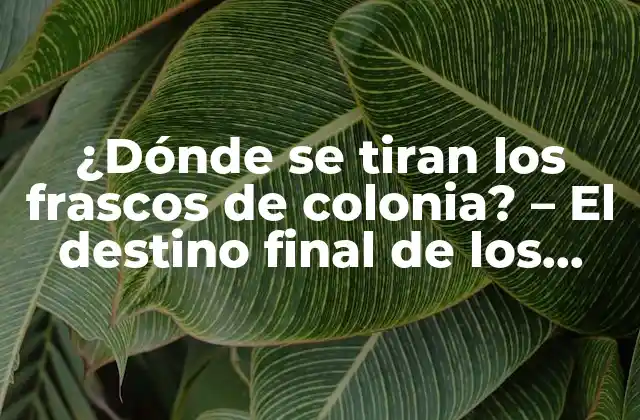 ¿dónde Se Tiran los Frascos de Colonia? – el Destino Final de los Envases de Perfumes