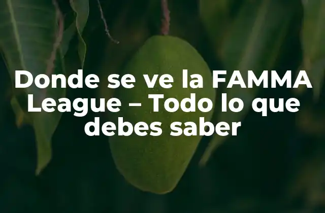 Donde Se Ve la Famma League – Todo Lo que Debes Saber