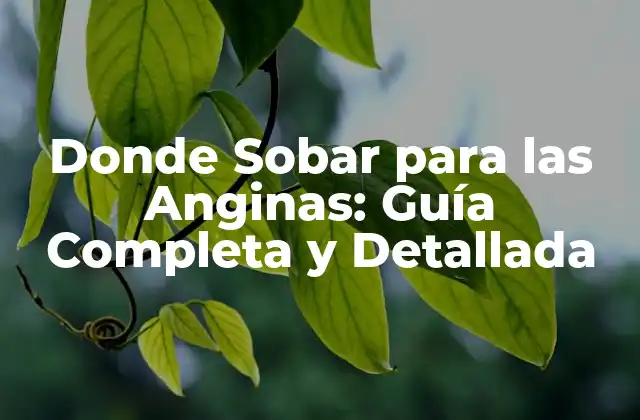 Donde Sobar para las Anginas: Guía Completa y Detallada