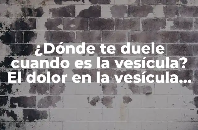 ¿dónde Te Duele Cuando es la Vesícula? el Dolor en la Vesícula Biliar