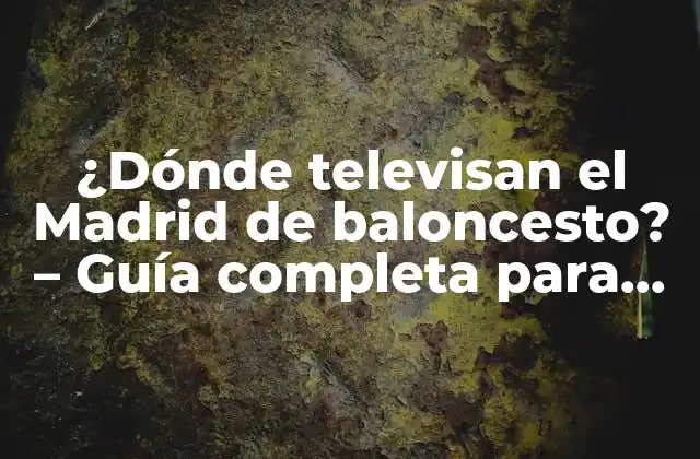 ¿dónde Televisan el Madrid de Baloncesto? – Guía Completa para No Perderte Ningún Partido