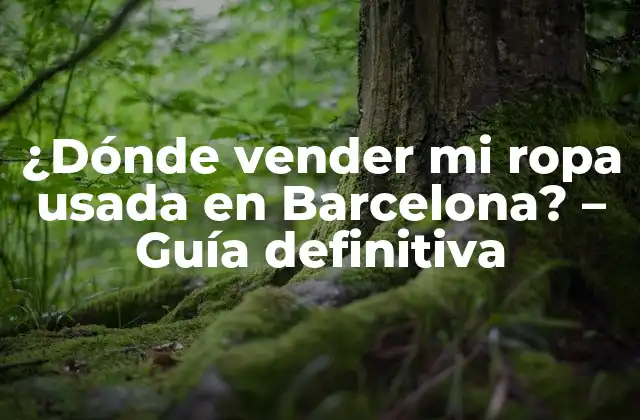 Mercadillos y mercados de segunda mano en Barcelona