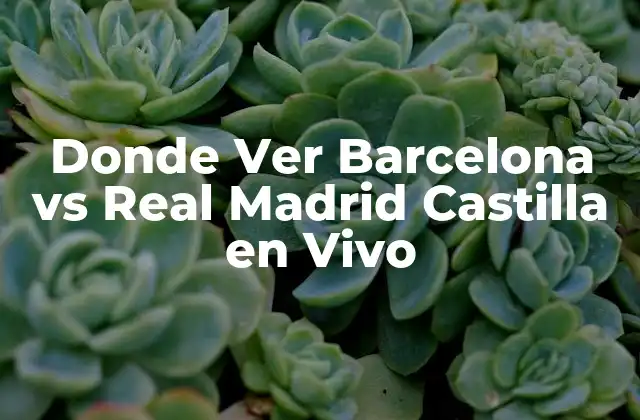 Donde Ver Barcelona Vs Real Madrid Castilla en Vivo