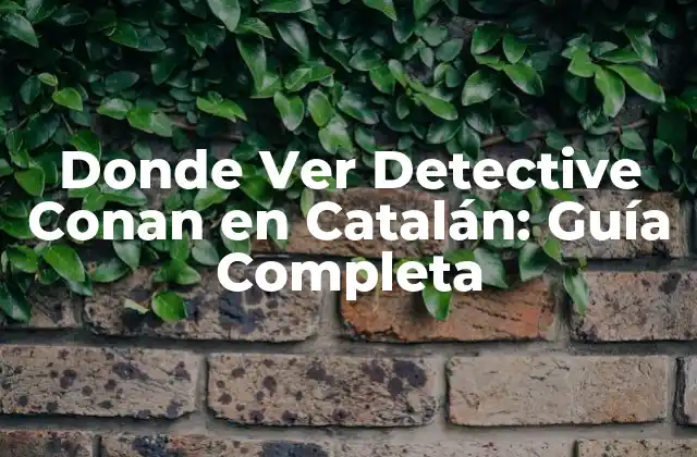 Donde Ver Detective Conan en Catalán: Guía Completa