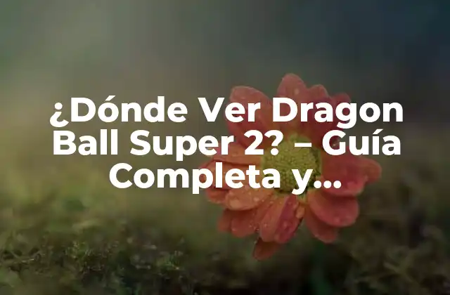 ¿dónde Ver Dragon Ball Super 2? – Guía Completa y Actualizada
