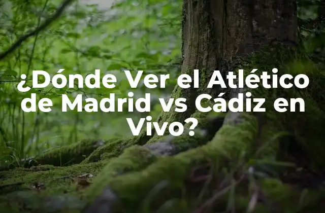 ¿dónde Ver el Atlético de Madrid Vs Cádiz en Vivo?
