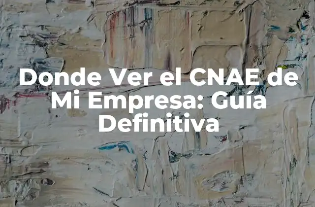 ¿Qué es el CNAE y Por Qué es Importante?