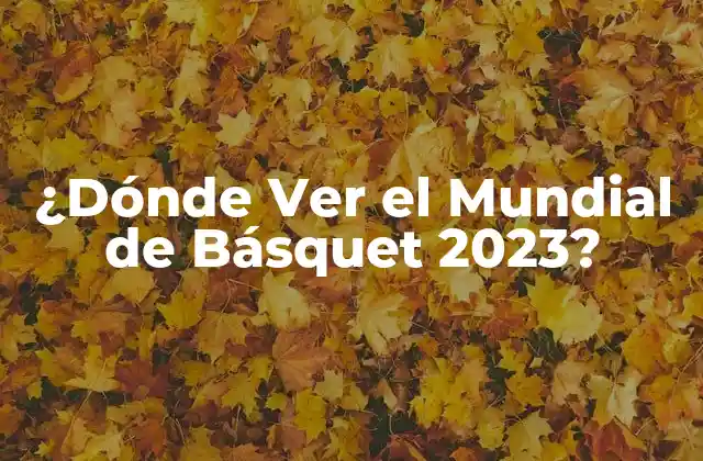 ¿dónde Ver el Mundial de Básquet 2023? 2 Televisión Abierta y de Pago