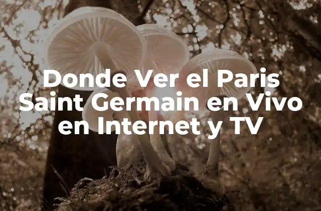 Donde Ver el Paris Saint Germain en Vivo en Internet y Tv