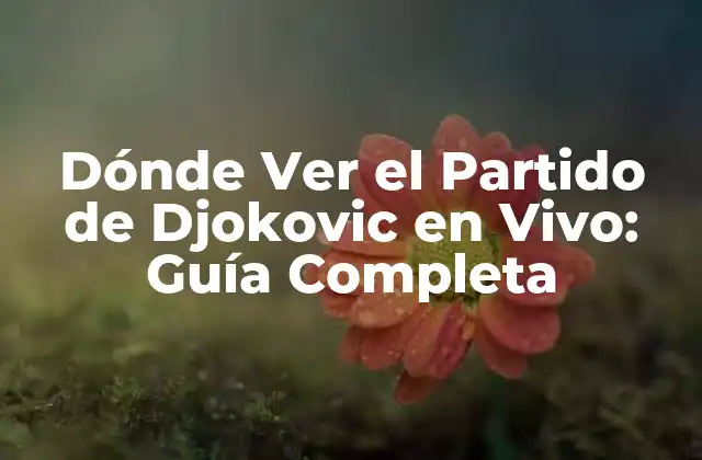 Dónde Ver el Partido de Djokovic en Vivo: Guía Completa
