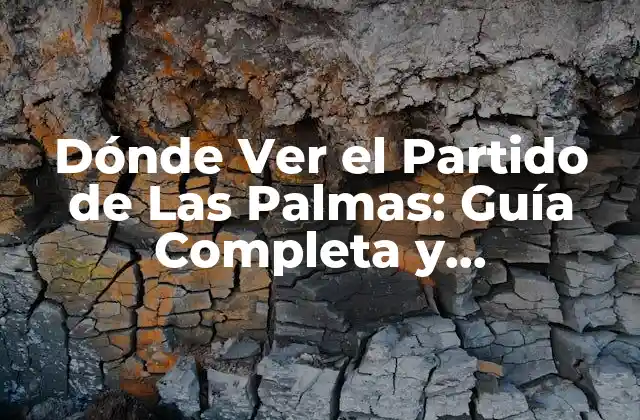 Dónde Ver el Partido de las Palmas: Guía Completa y Actualizada