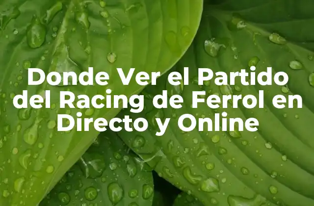 Donde Ver el Partido Del Racing de Ferrol en Directo y Online