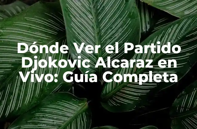 Dónde Ver el Partido Djokovic Alcaraz en Vivo: Guía Completa