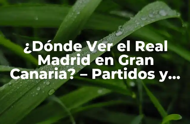 ¿dónde Ver el Real Madrid en Gran Canaria? – Partidos y Eventos de Fútbol en las Islas Canarias