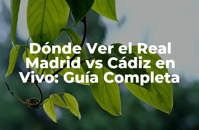 Dónde Ver el Real Madrid Vs Cádiz en Vivo: Guía Completa