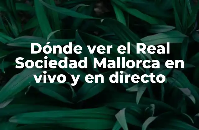 Dónde Ver el Real Sociedad Mallorca en Vivo y en Directo