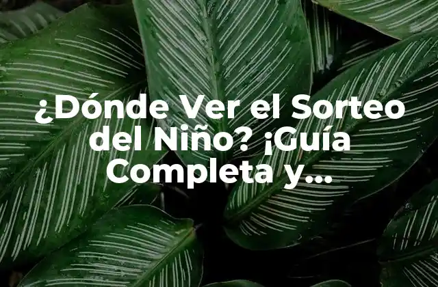 ¿dónde Ver el Sorteo Del Niño? ¡guía Completa y Actualizada!