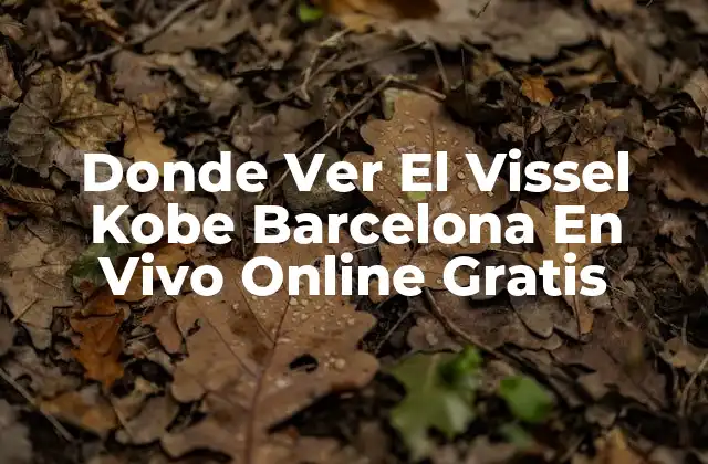 Donde Ver el Vissel Kobe Barcelona en Vivo Online Gratis