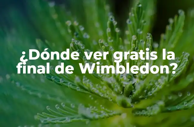 ¿dónde Ver Gratis la Final de Wimbledon?