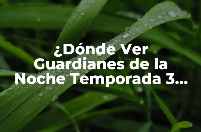 ¿dónde Ver Guardianes de la Noche Temporada 3 Online?