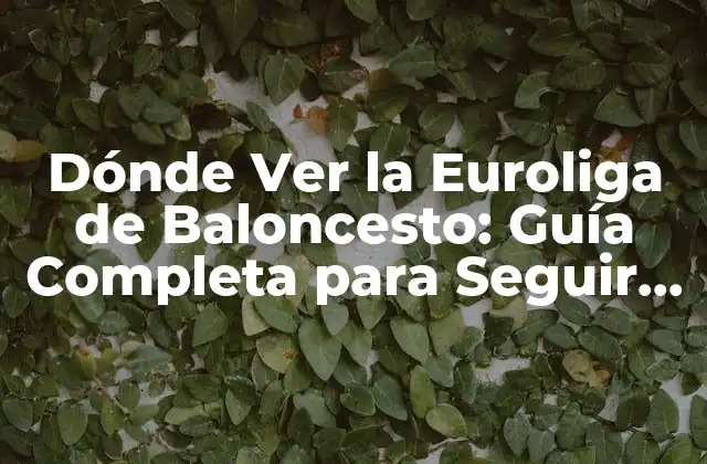 Dónde Ver la Euroliga de Baloncesto: Guía Completa para Seguir la Competición