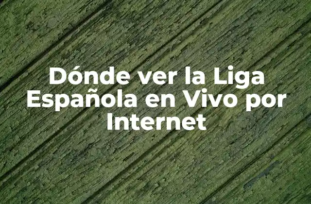 Dónde Ver la Liga Española en Vivo por Internet