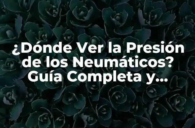 ¿dónde Ver la Presión de los Neumáticos? Guía Completa y Actualizada