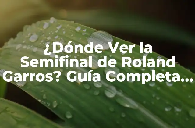 ¿dónde Ver la Semifinal de Roland Garros? Guía Completa para No Perderte Nada