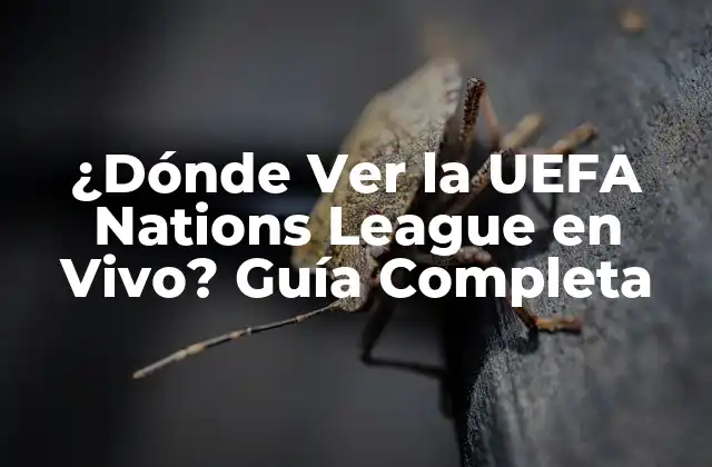 ¿dónde Ver la Uefa Nations League en Vivo? Guía Completa