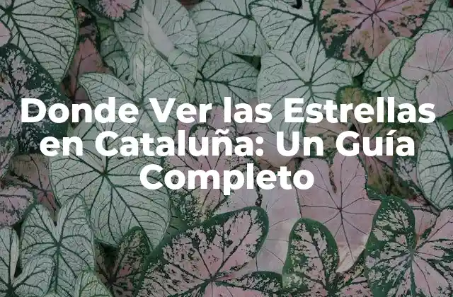 Donde Ver las Estrellas en Cataluña: un Guía Completo 2 Parques Naturales de Cataluña para Ver las Estrellas