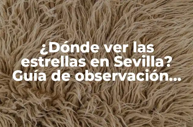¿dónde Ver las Estrellas en Sevilla? Guía de Observación Astronómica
