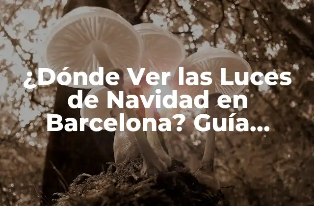 ¿dónde Ver las Luces de Navidad en Barcelona? Guía Completa 2022